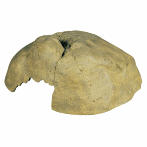 Hides - Exo Terra Hiding Cave Extra Large