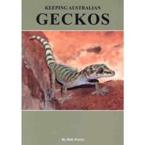 Keeping Australian Geckos