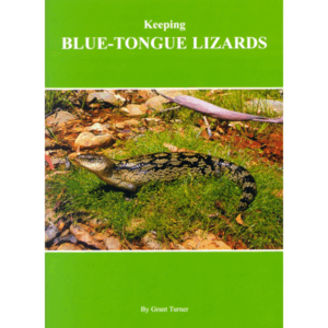 Keeping Blue Tongue Lizards (Aust)